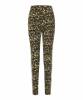 Billede af Masai Pio Leggins Leo 1008109